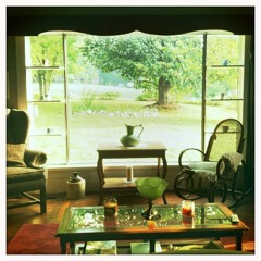 Electric Feel (Cover)