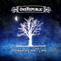 Say All I Need (OneRepublic)