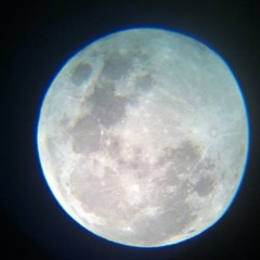 R.s. - The Elevator 13