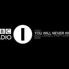 Imany - You Will Never Know (Miguel Campbell & Matt Hughes Remix)