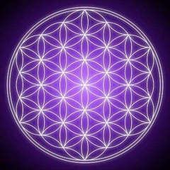 Rebel Scum X Dark Knight X SleeStak // DreaMcasT