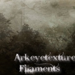 Bitter Cold - Arkeyetexture