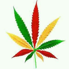 NICE!!