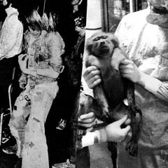 Nocturnal Emissions - So Darn Hot