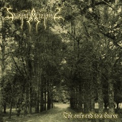 Swords At Hymns - The only end to a brave (Single)