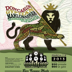 4th Annual Wildfire Reggae & Arts Festival