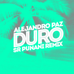 Alejandro Paz - Duro (Sr Punani Remix)