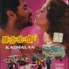 Ennavale adi ennavale-kaadalan
