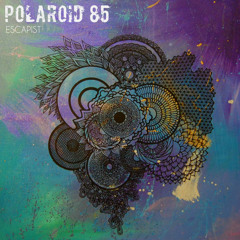 Polaroid 85 - Freefall