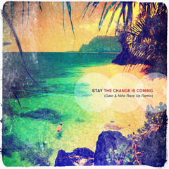 The Change is Coming (Gato & Niño Razz Up Remix)