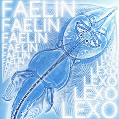 Lexo
