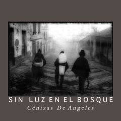 SIN LUZ EN EL BOSQUE - Cenizas de angeles