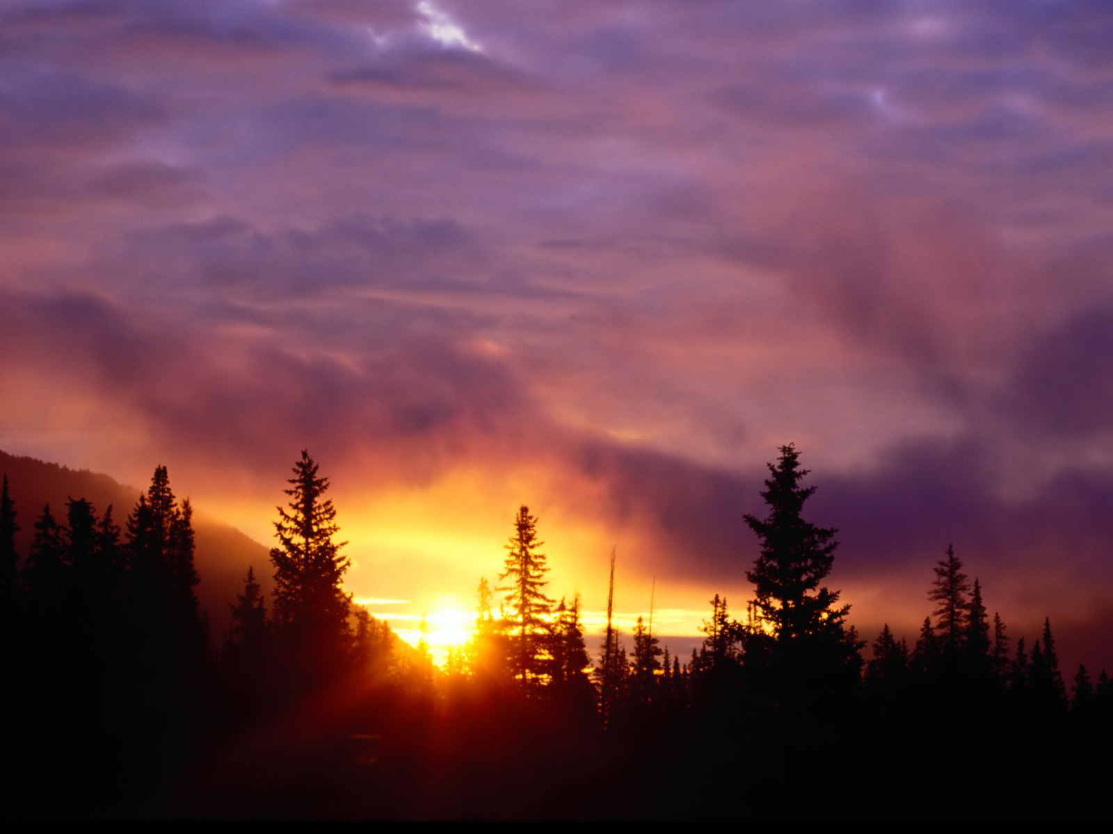 artworks-000040569639-ds0mp4-original.jpg