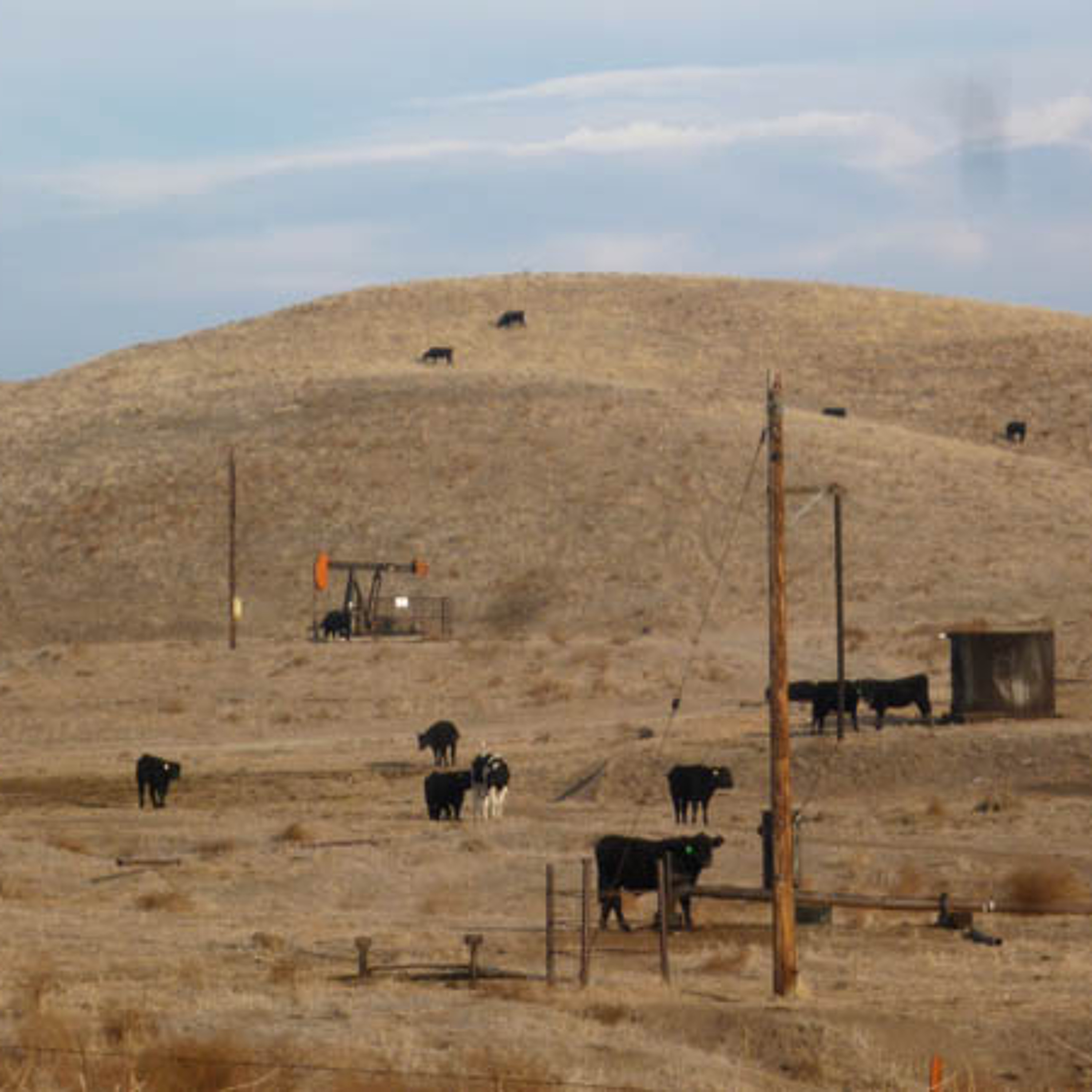 Oil pumpjack in field 2of2 - Binaural field recording, Bakersfield, CA, 01 2012 episode artwork