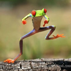 Everyday i am Gangnam style - Dj Xploder Remix