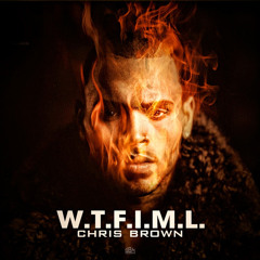 Chris Brown - W.T.F.I.M.L - 2013 HD