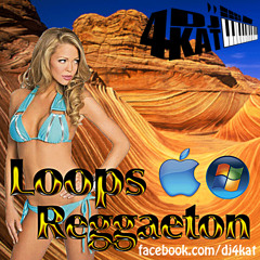 DJ4Kat - Reggaeton Dancehall Drum Loops