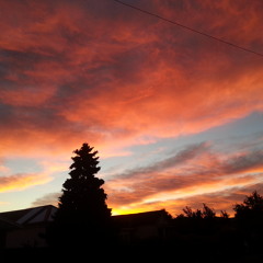 Since you left - Roarz ft Jackson Lee (Beat by Tactic)