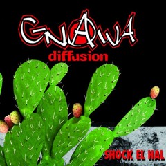 Gnawa Diffusion - Ana barrani