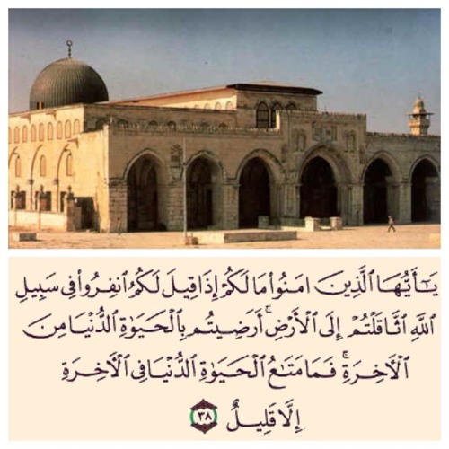 تلاوة حجازية من سورة التوبة