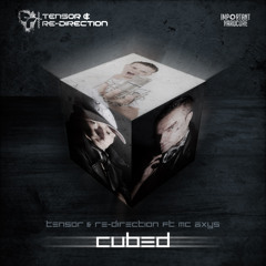 Tensor & Re-Direction - Let's F*ck