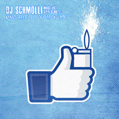 DJ Schmolli - Und alle so 'Follow Me'