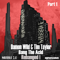DAMON WILD + TIM TAYLOR   "BANG THE ACID - REBANGED!" PART ONE - MIXES 1 - 6 OF 12