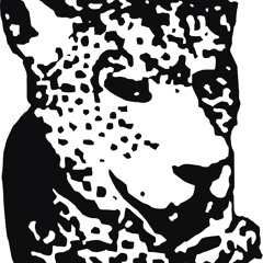 Never Gonna Give You Up (Tiger & Woods Edit)