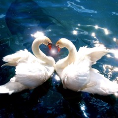 Jean - Liebe fuer Alle