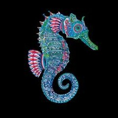 I love seahorses