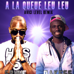 DON NAKESS feat SPIRIT - A LA QUEUE LEU LEU ( Avici-levels remix)