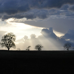 Mamas N Bananas™ Silver Lining