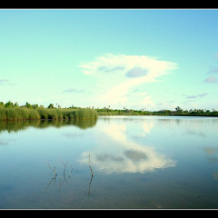 Rhythm of Maldivian Bodu Beru