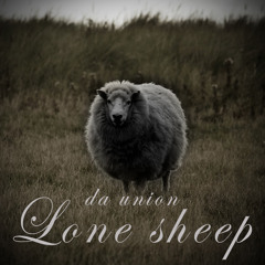 Lone Sheep