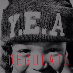 Regulate Remix