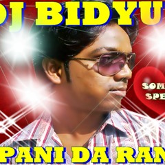 Pani Da Rang Dj Bidyut Valentine Love Mix