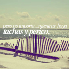 Tachas y perico