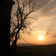 thougths - work in progress