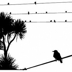 PoorBoyRich's PROPAGANDA