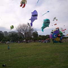 Galway´s last shot (ambient mix)