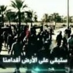 مستضعفي الأرض قلنا نعم