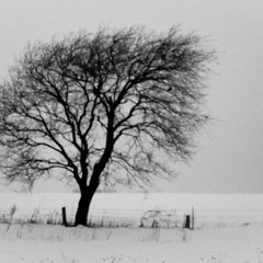 Below The Arch - In a pile of dirt