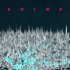 Dolma - Get It Back - Outsider EP Preview