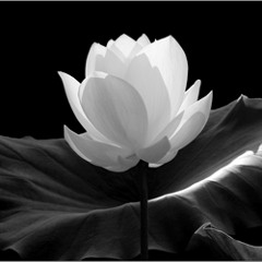 Archangel Jophiel Meditation