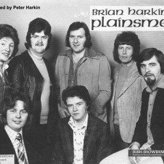 Brian Harkin & The Plainsmen--King of the Road
