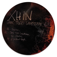 Xhin - Dark Tiled Landscape