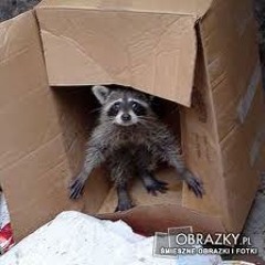 IXsound - Wale Tynki 14.02 mix