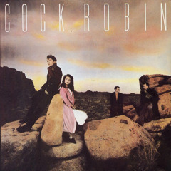 Cock Robin - Promise you made (ericro bootleg)