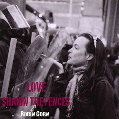 Love Shakin The Fences by Robin Gorn