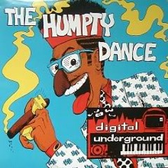 Digital Underground - The Humpty Dance - ( Provider Remix )